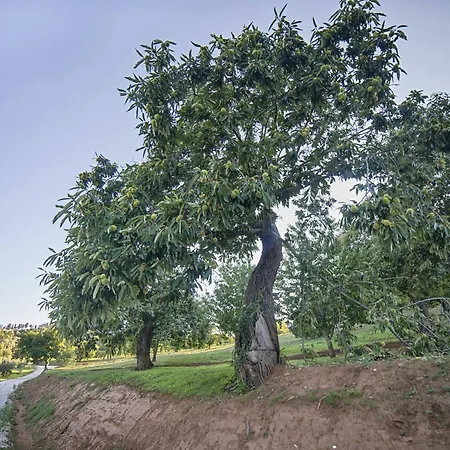 Ξενοδοχείο με διαμερίσματα Il Castagno Toscana Campiglia Marittima
